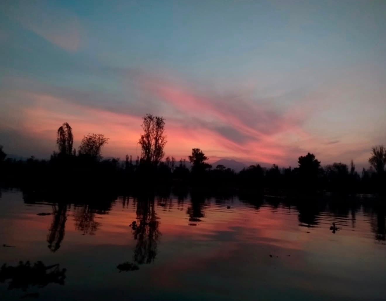 Xochimilco… El Ocaso entre Canales y Chinampas